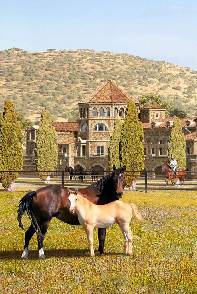 11-Equestrian-Complex-Spain